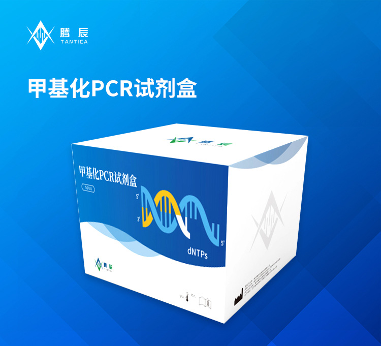 甲基化PCR试剂盒